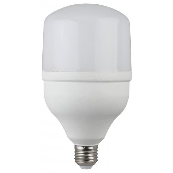 ЭРА Б0027000 Светодиодная лампа LED smd POWER 20W-2700-E27