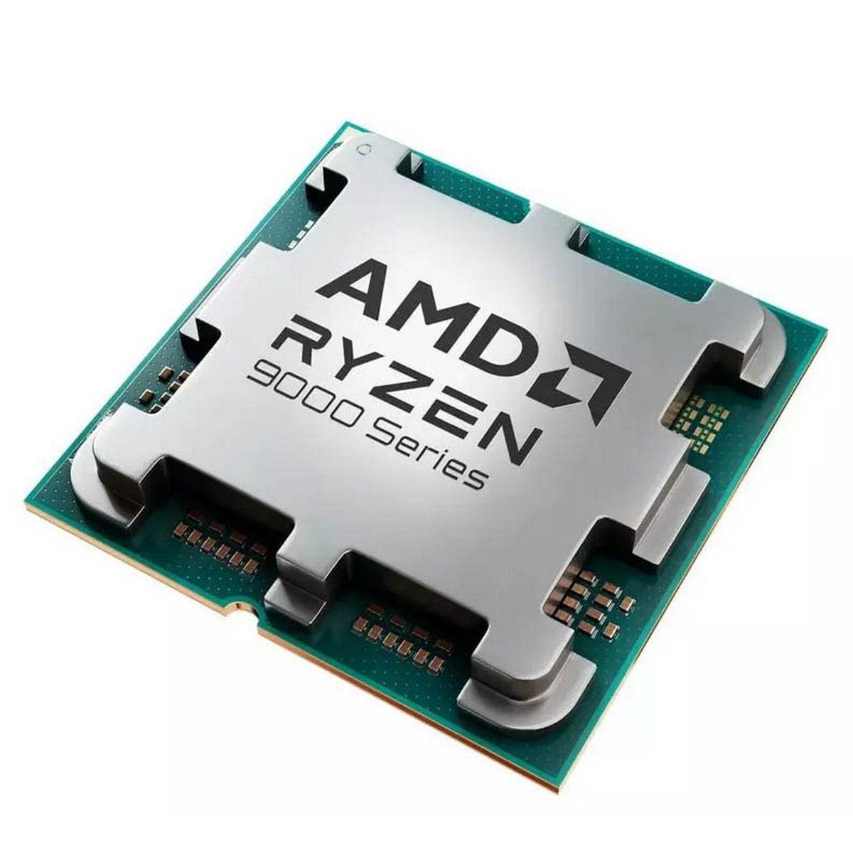 CPU AMD Ryzen 9 9900X OEM  (100-000000662) (Base 4,40GHz, Turbo 5,60GHz, GPU Radeon Graphics, L3 64Mb, TDP 120W, AM5)