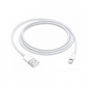 MXLY2ZM/A Apple Lightning to USB Cable (1 m)