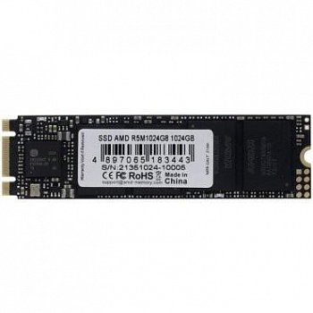 AMD SSD M.2 1TB Radeon R5 R5M1024G8